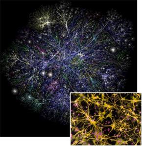 Internet map... with brain cells inset, for comparison.
