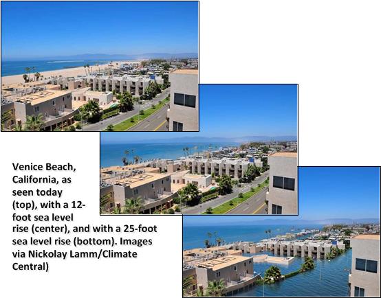 And this is how the popular Venice Beach could evolve....
